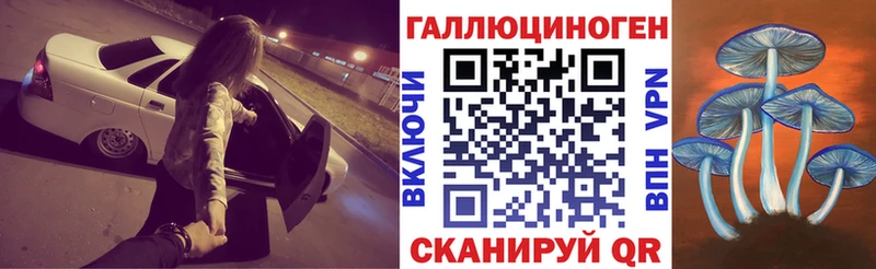 Псилоцибиновые грибы Psilocybe цена наркотик Перевоз